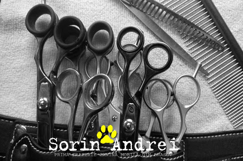 salon canin brasov