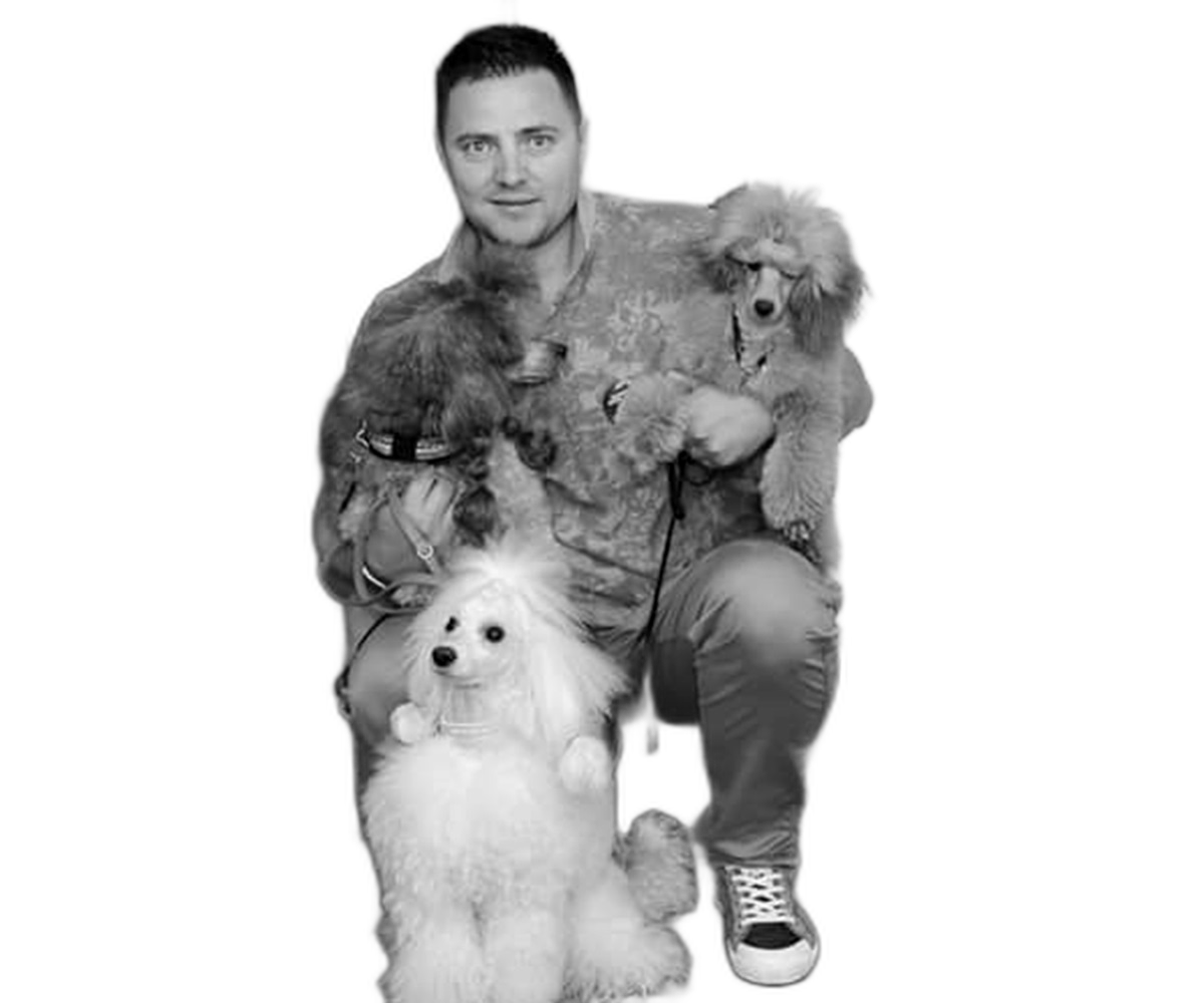 sorin frizerie canina